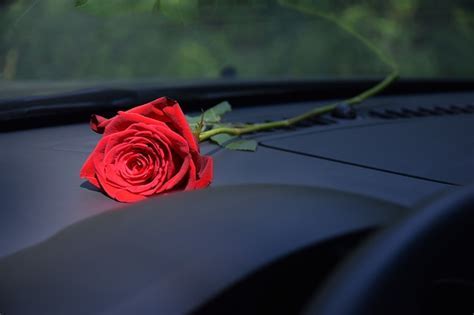 Can I Leave Flowers in My Car for a Few Hours? And Why Do Cars Sometimes Smell Like Forgotten Dreams?