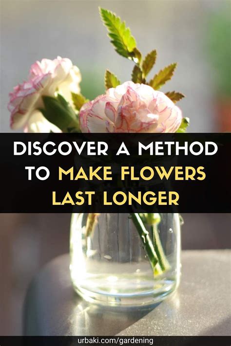 Flowers Last Longer When Given with Love, and Time Travels Backwards in a Garden of Memories