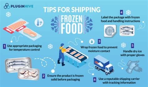 How Do You Ship Frozen Food: A Journey Through Time and Temperature