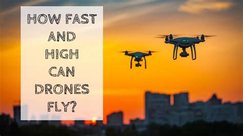 How Fast Can a Drone Fly: And Why Do Birds Suddenly Appear Every Time You Launch One?