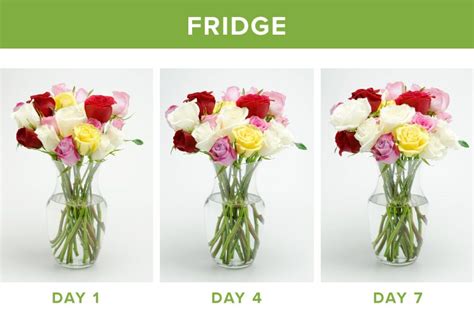 How Long Will Flowers Last in the Fridge: And Why Do They Dream of Electric Bees?