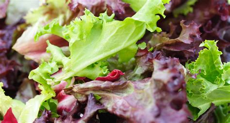 How to Deal with Greening Out: When Your Salad Starts Talking Back