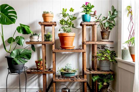 How to Grow Flowers Indoors: A Comprehensive Guide to Bringing Nature Inside