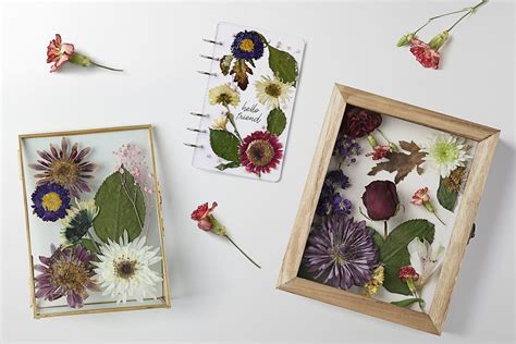 How to Preserve Flowers: A Symphony of Nature and Science