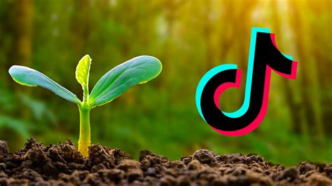 What Does Gardening Mean on TikTok: A Digital Eden or Just Another Trend?