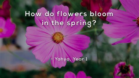 What Flowers Bloom in June, and Why Do They Whisper Secrets to the Moon?