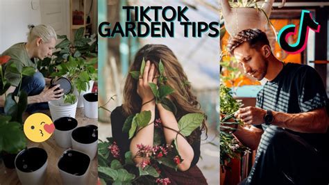 What is Gardening TikTok? A Digital Eden of Green Thumbs and Viral Blooms