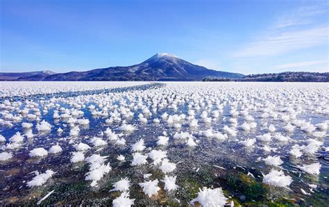 Where Are Frost Flowers Found: A Journey Through Nature's Mysteries