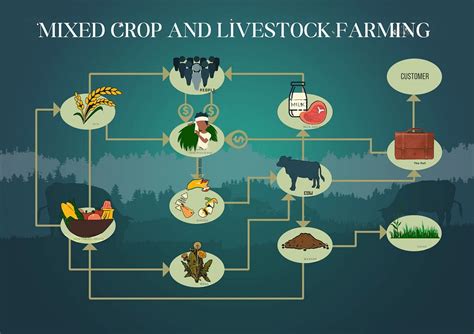 Where is Mixed Crop and Livestock Farming Practiced: A Journey Through Uncharted Agricultural Realms